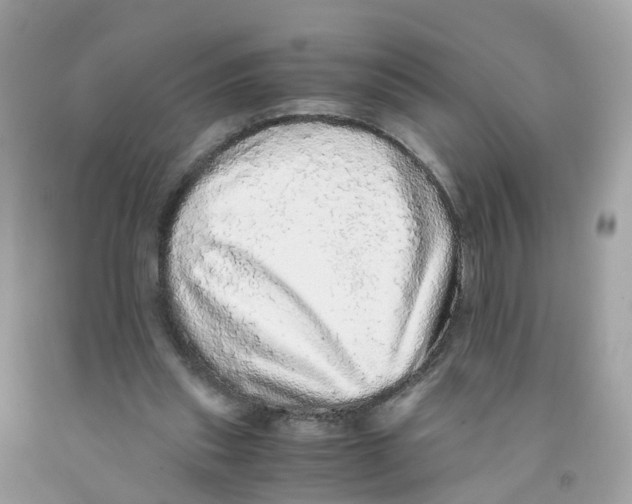 X0000091100253200709041329