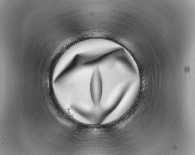 X0000091100254200709041329