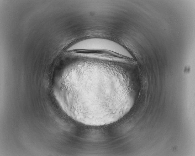 X0000091100255200709041329