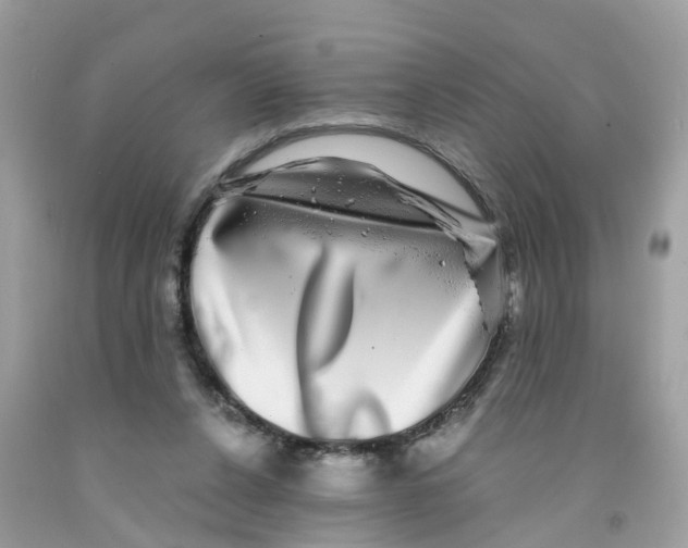 X0000091100256200709041329