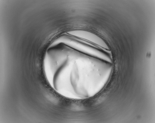 X0000091100258200709041329