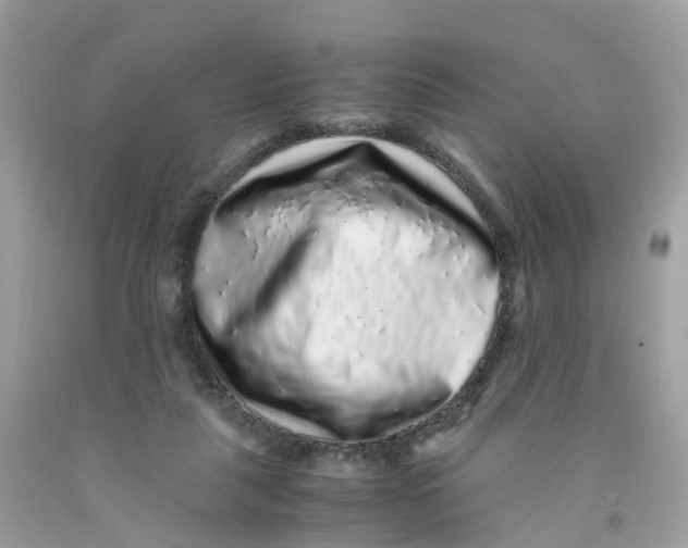 X0000091100259200709041329