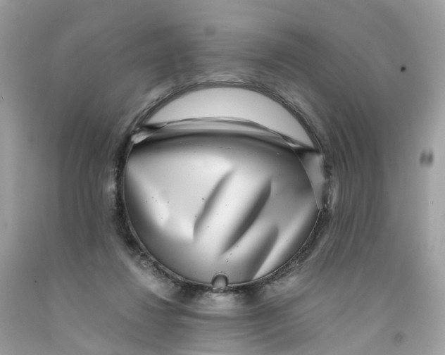 X0000091100260200709041329