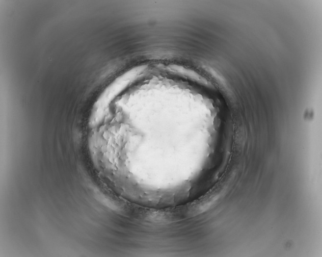 X0000091100261200709041329