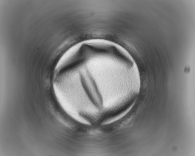 X0000091100262200709041329