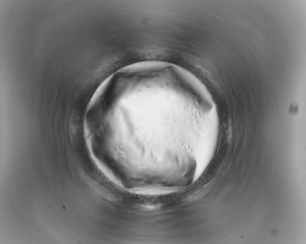 X0000091100263200709041329