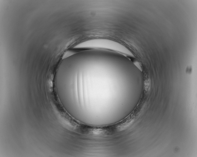 X0000091100264200709041329