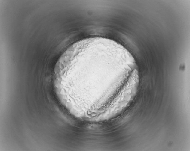 X0000091100265200709041329