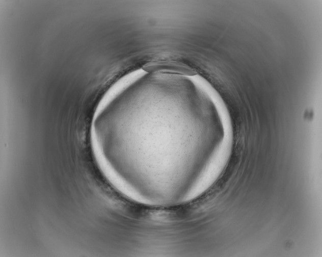 X0000091100268200709041329