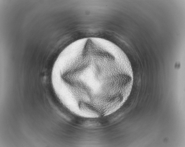 X0000091100270200709041329