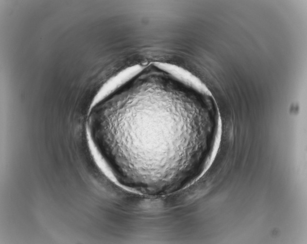 X0000091100271200709041329