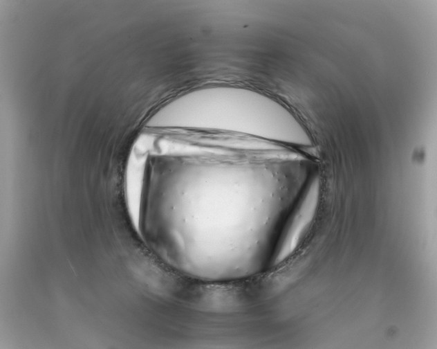 X0000091100273200709041330