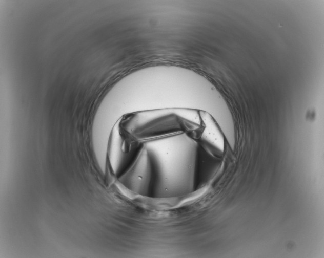 X0000091100276200709041330