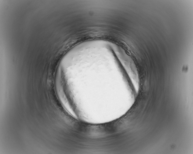 X0000091100277200709041330