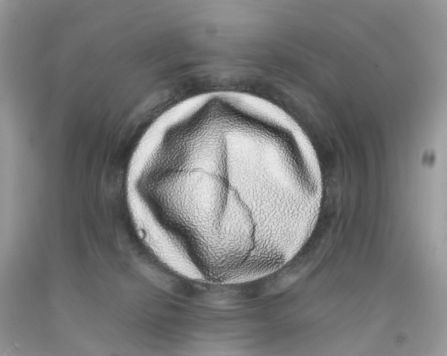 X0000091100278200709041330