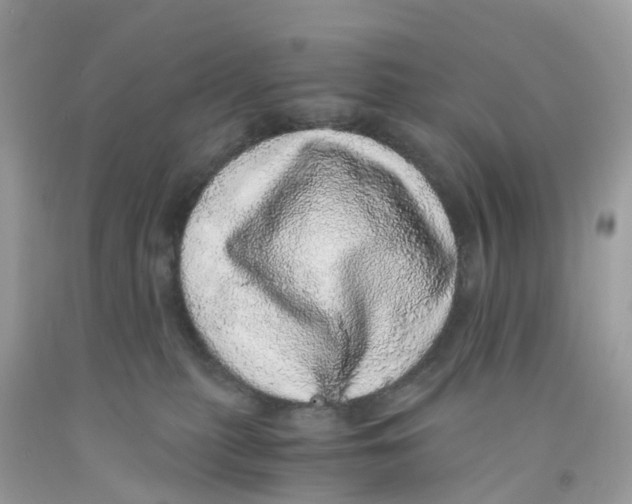 X0000091100279200709041330