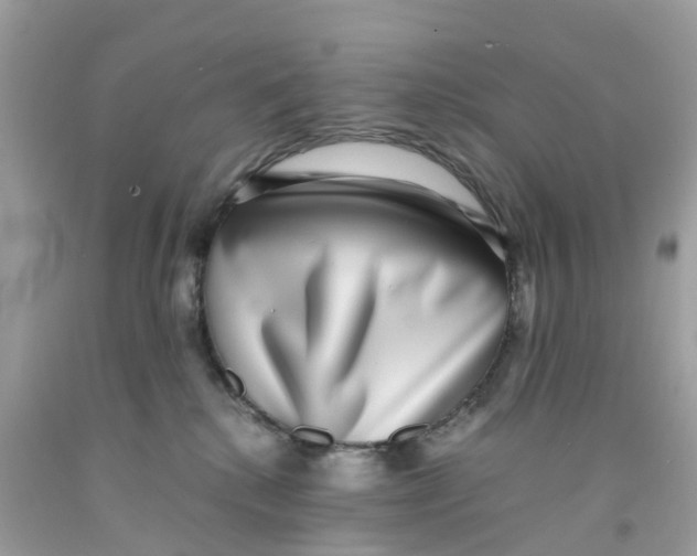 X0000091100280200709041330