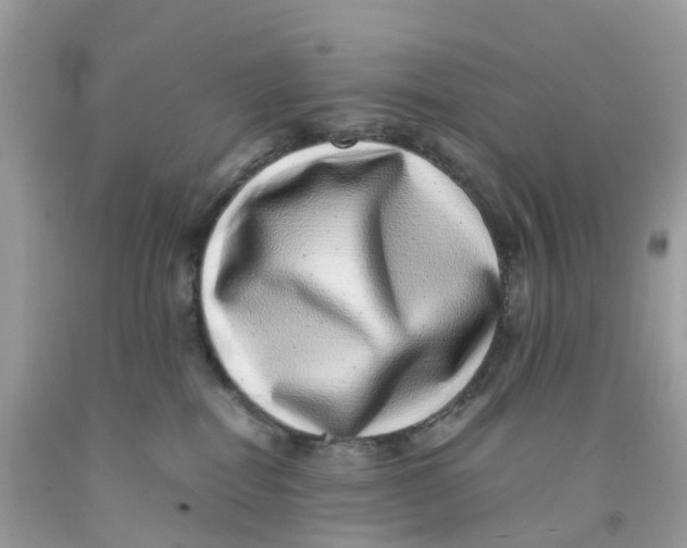 X0000091100282200709041330