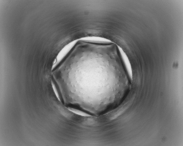 X0000091100285200709041330