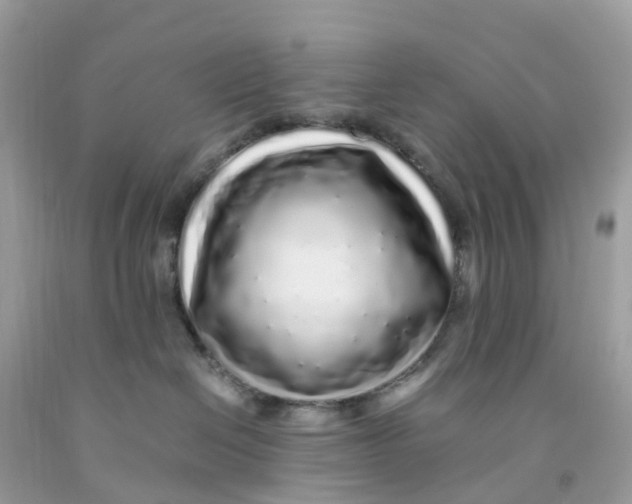 X0000091100286200709041330