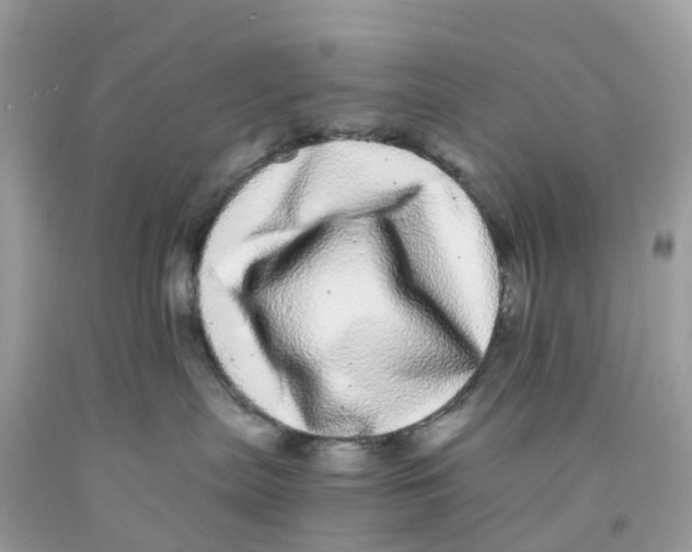 X0000091100287200709041330