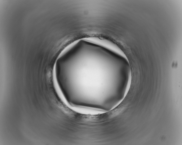 X0000091100288200709041330