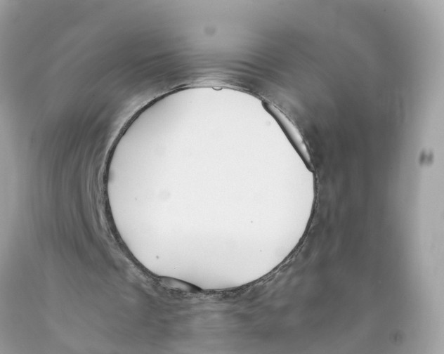 X0000091100289200709041329