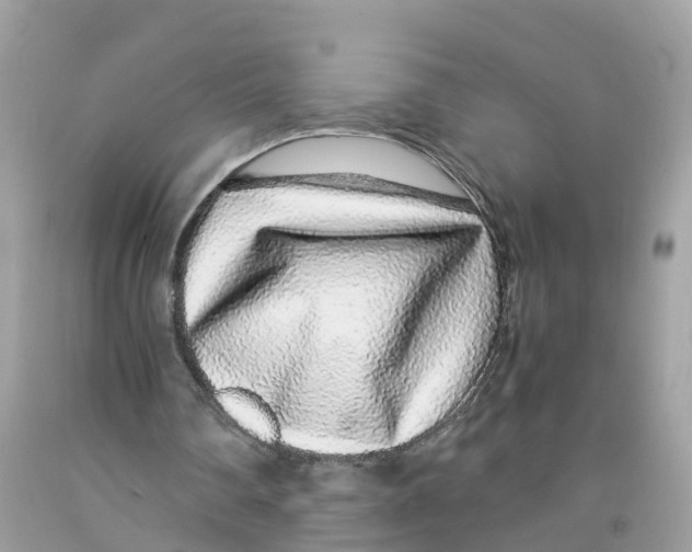 X0000091100290200709041329