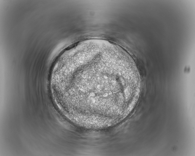 X0000091100293200709041329