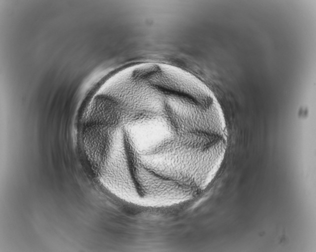 X0000091100294200709041329