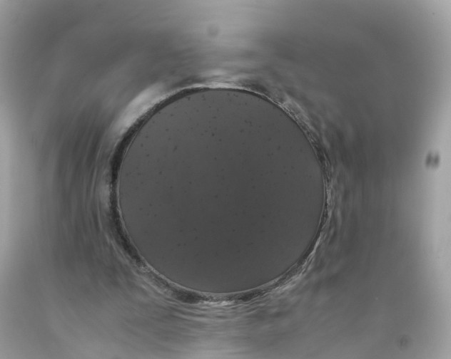 X0000091100295200709041329