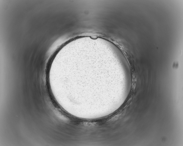 X0000091100296200709041329