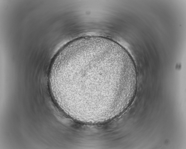 X0000091100297200709041329