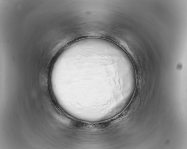 X0000091100299200709041329