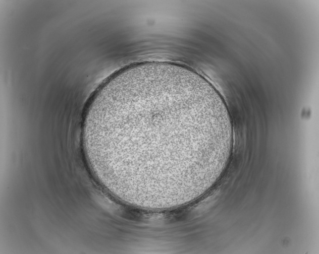 X0000091100301200709041329