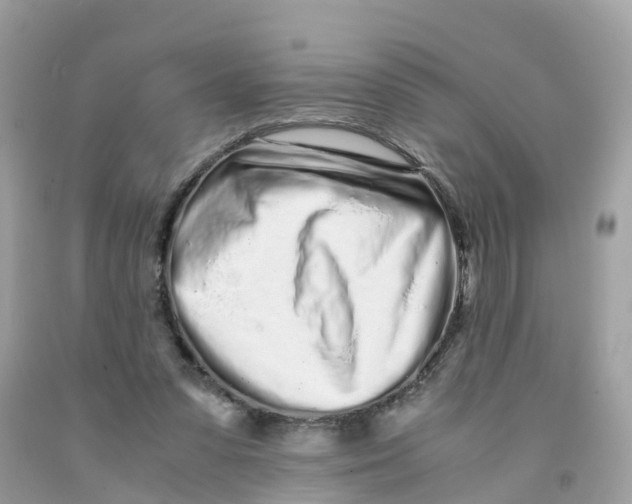 X0000091100303200709041329