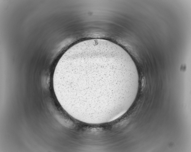 X0000091100304200709041329