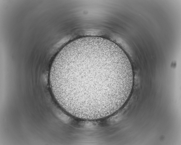 X0000091100305200709041329