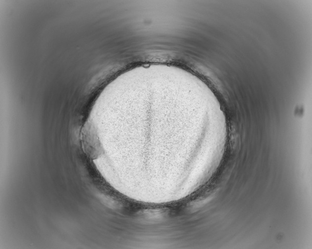 X0000091100307200709041329