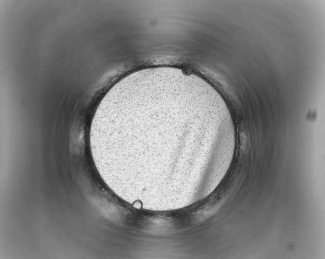 X0000091100308200709041329