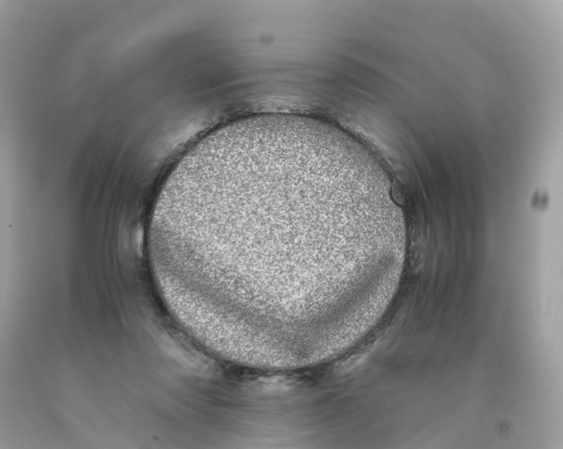 X0000091100310200709041329