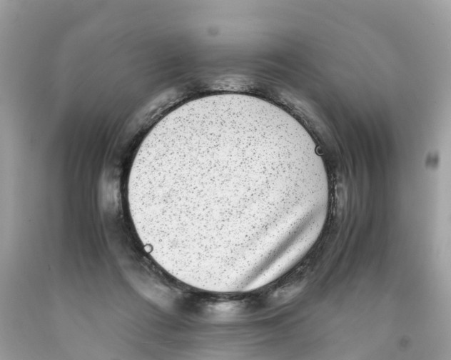 X0000091100312200709041329