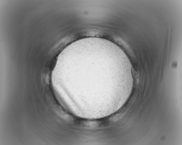 X0000091100313200709041329