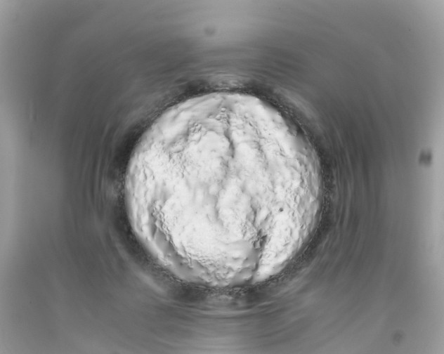 X0000091100315200709041329