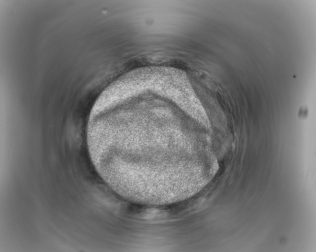 X0000091100319200709041329