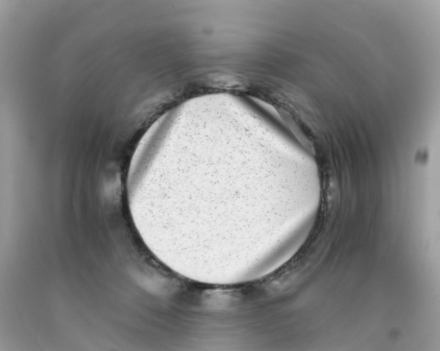 X0000091100320200709041329