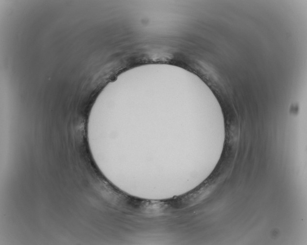 X0000091100321200709041329