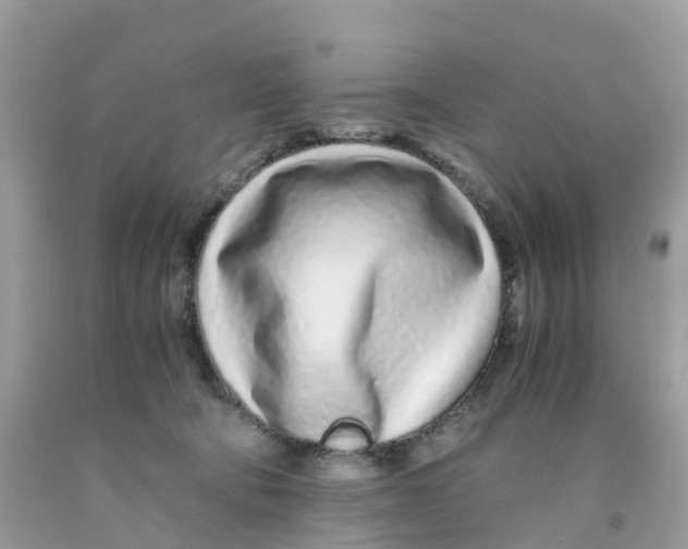 X0000091100322200709041329