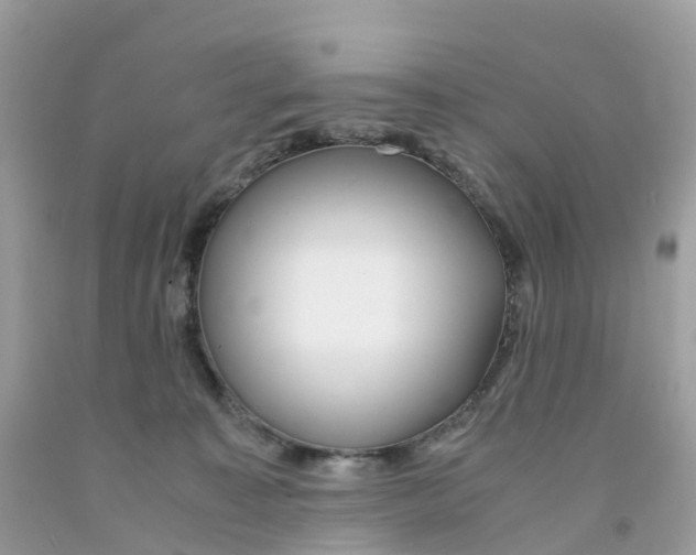 X0000091100323200709041329