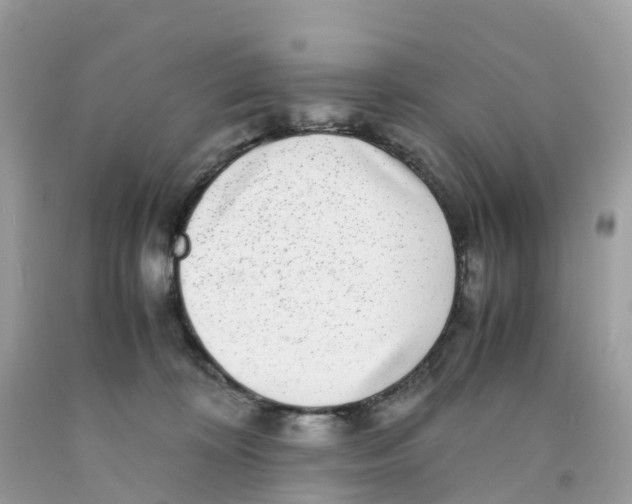 X0000091100324200709041328